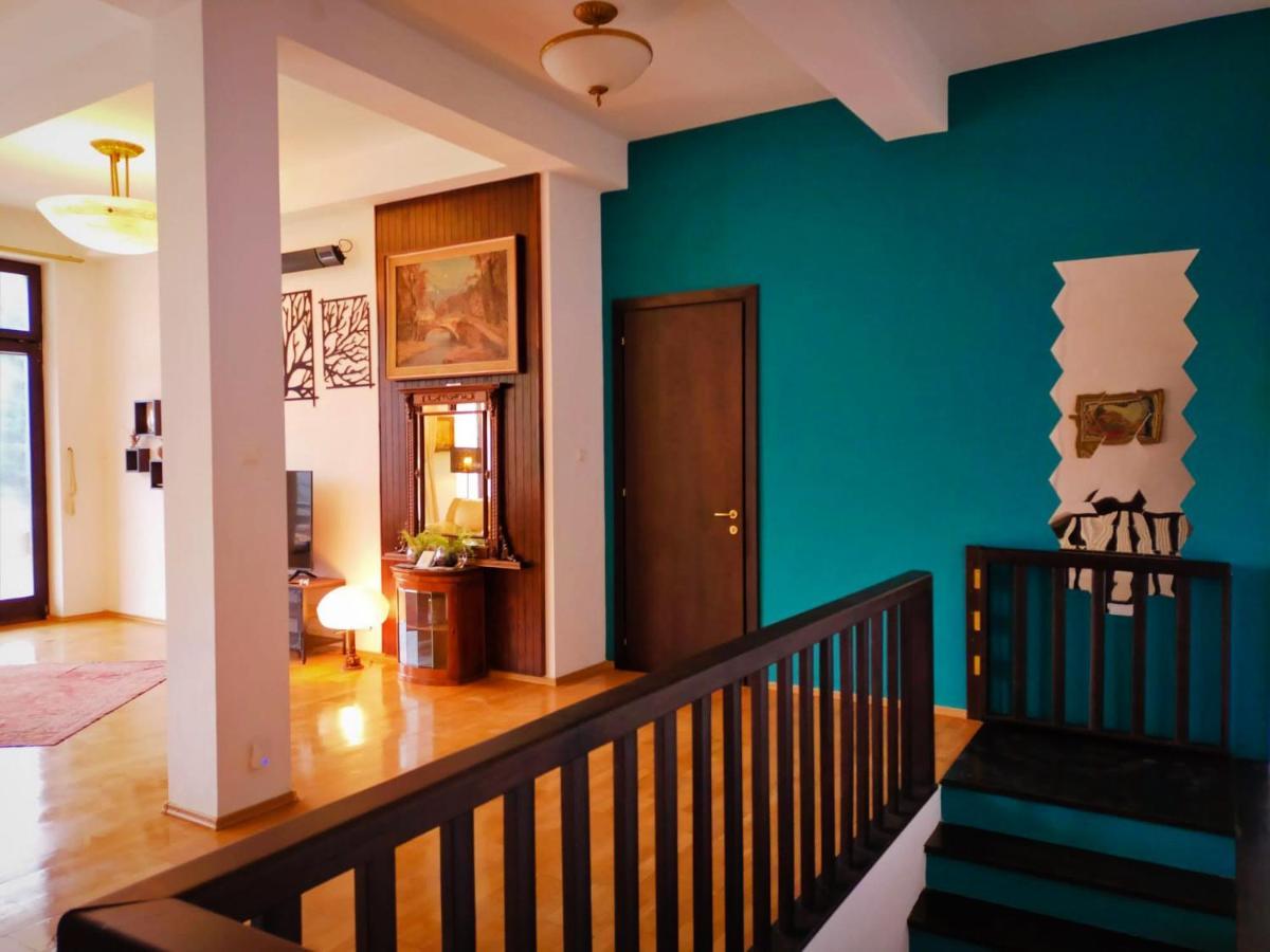 Villa & Spa 4Temporadas - Plaiul Foii Zărneşti Екстериор снимка